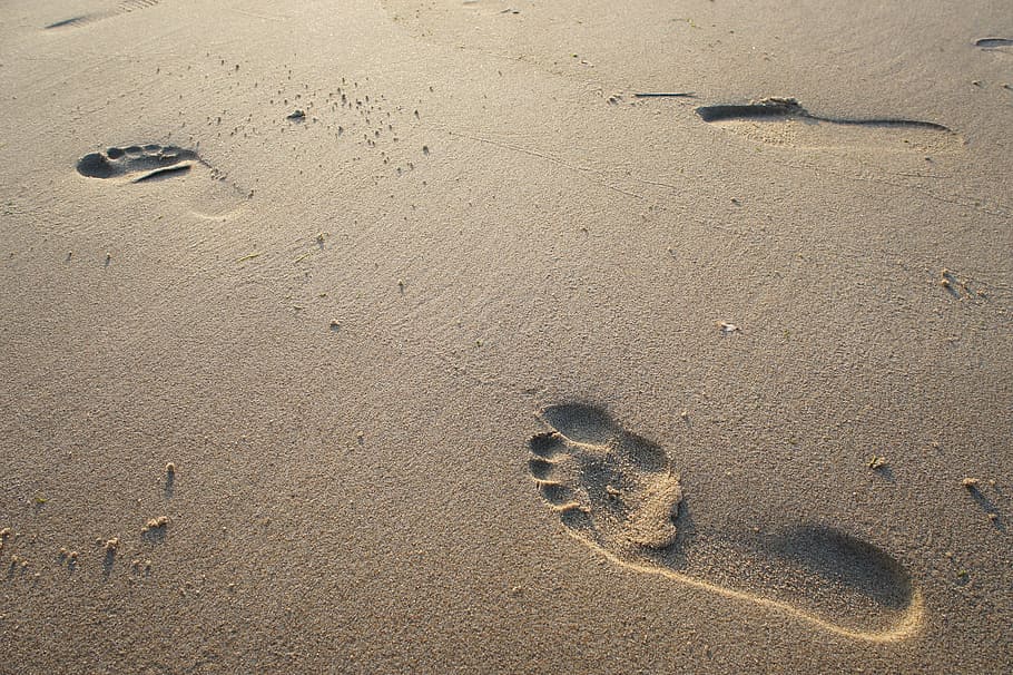 L’impronta del Consiglio di Stato sulle concessioni demaniali: un’orma sulla sabbia?